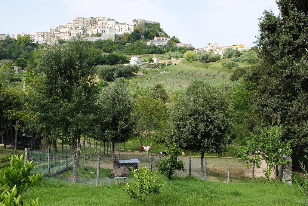 Agriturismo L'Arca Di Anna Brambilla เบลเวเดเร มาริตตีโม ภายนอก รูปภาพ